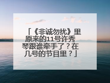 《非诚勿扰》里原来的11号许秀琴跟谁牵手了?在几号的节目里?