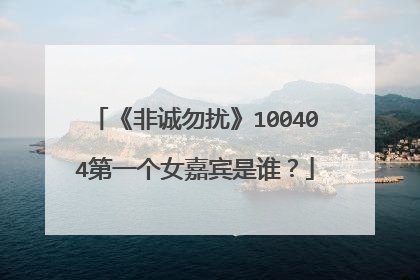 《非诚勿扰》100404第一个女嘉宾是谁?