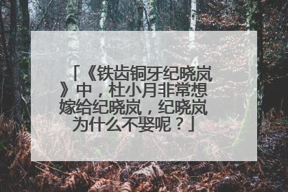 《铁齿铜牙纪晓岚》中,杜小月非常想嫁给纪晓岚,纪晓岚为什么不娶呢?