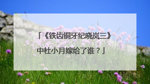《铁齿铜牙纪晓岚三》中杜小月嫁给了谁?