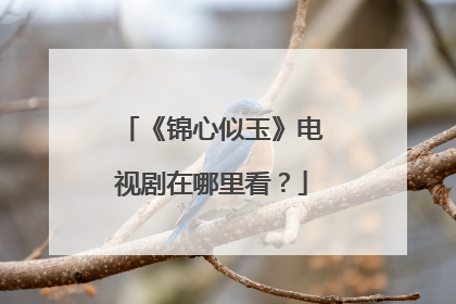 《锦心似玉》电视剧在哪里看？