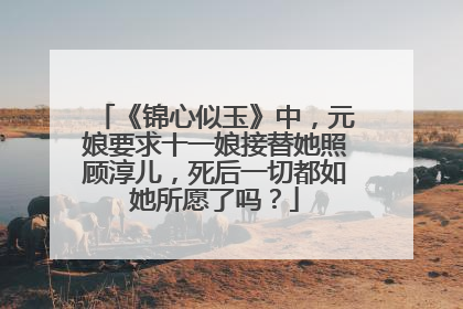《锦心似玉》中，元娘要求十一娘接替她照顾淳儿，死后一切都如她所愿了吗？