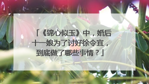 《锦心似玉》中，婚后十一娘为了讨好徐令宜，到底做了哪些事情？