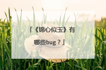 《锦心似玉》有哪些bug？