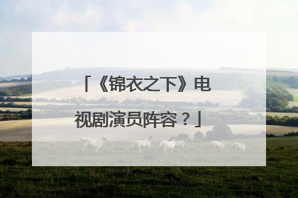 《锦衣之下》电视剧演员阵容?