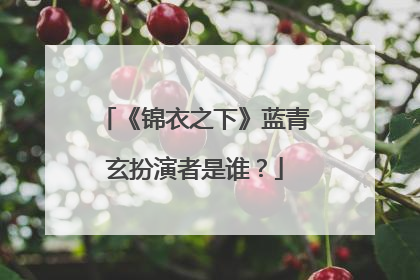 《锦衣之下》蓝青玄扮演者是谁？