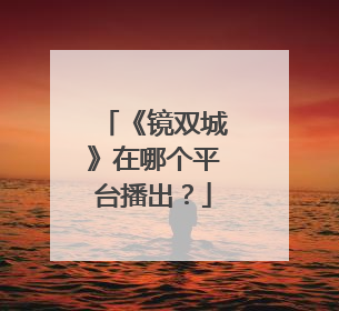 《镜双城》在哪个平台播出？