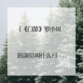 《门第》罗小贝的演员叫什么?