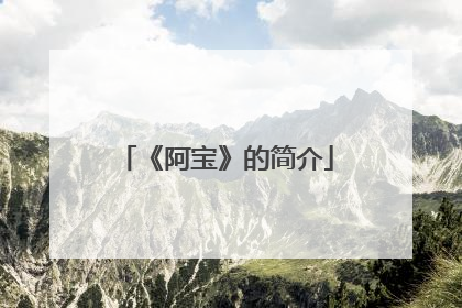 《阿宝》的简介