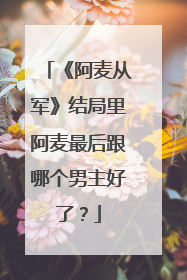 《阿麦从军》结局里阿麦最后跟哪个男主好了？