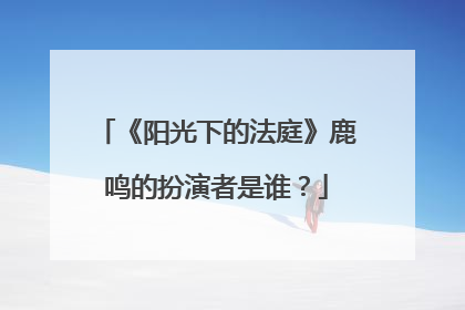 《阳光下的法庭》鹿鸣的扮演者是谁？