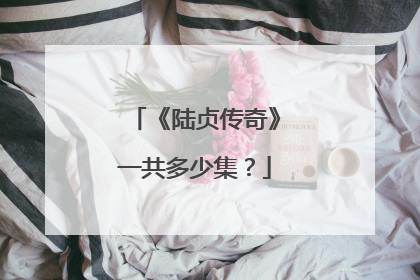 《陆贞传奇》一共多少集？