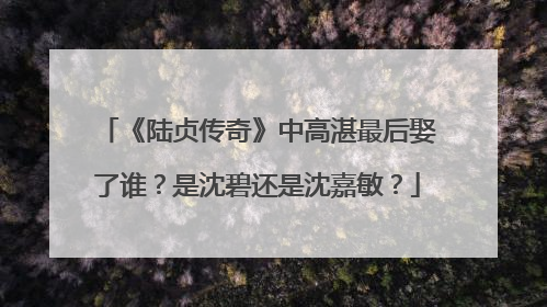 《陆贞传奇》中高湛最后娶了谁？是沈碧还是沈嘉敏？