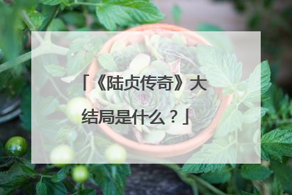 《陆贞传奇》大结局是什么?