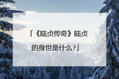 《陆贞传奇》陆贞的身世是什么?