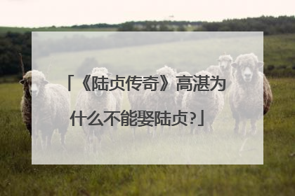 《陆贞传奇》高湛为什么不能娶陆贞?