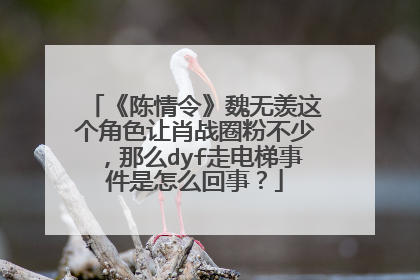 《陈情令》魏无羡这个角色让肖战圈粉不少,那么dyf走电梯事件是怎么回事?