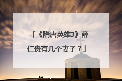 《隋唐英雄3》薛仁贵有几个妻子？