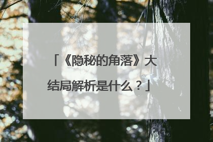 《隐秘的角落》大结局解析是什么?