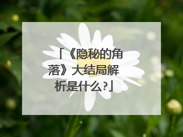 《隐秘的角落》大结局解析是什么?
