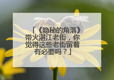 《隐秘的角落》带火湛江老街，你觉得这些老街留着有必要吗？