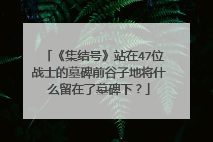 《集结号》站在47位战士的墓碑前谷子地将什么留在了墓碑下？