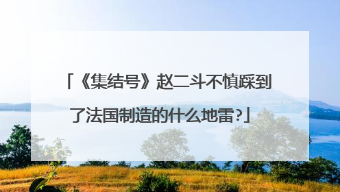 《集结号》赵二斗不慎踩到了法国制造的什么地雷?