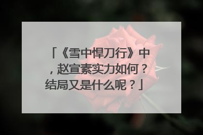 《雪中悍刀行》中，赵宣素实力如何？结局又是什么呢？