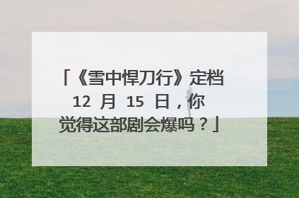 《雪中悍刀行》定档 12 月 15 日，你觉得这部剧会爆吗？