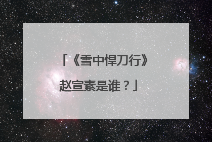 《雪中悍刀行》赵宣素是谁？