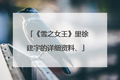 《雪之女王》里徐建宇的详细资料、