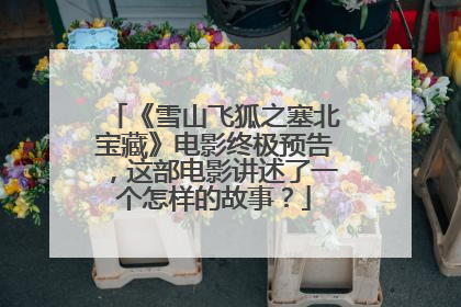 《雪山飞狐之塞北宝藏》电影终极预告,这部电影讲述了一个怎样的故事?