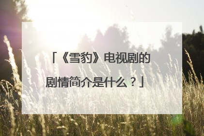 《雪豹》电视剧的剧情简介是什么?