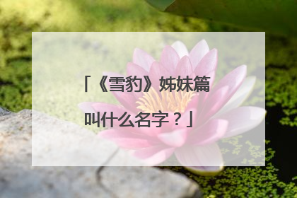 《雪豹》姊妹篇叫什么名字?