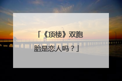 《顶楼》双胞胎是恋人吗?