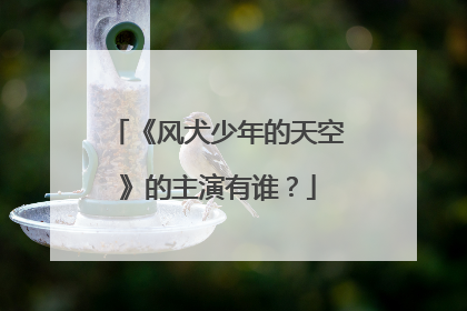 《风犬少年的天空》的主演有谁?