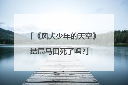 《风犬少年的天空》结局马田死了吗?