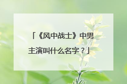 《风中战士》中男主演叫什么名字?