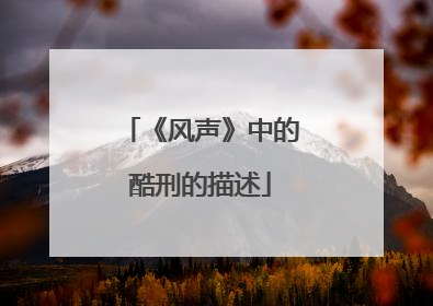 《风声》中的酷刑的描述