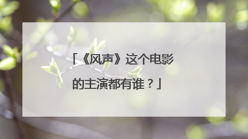 《风声》这个电影的主演都有谁?