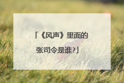 《风声》里面的张司令是谁?