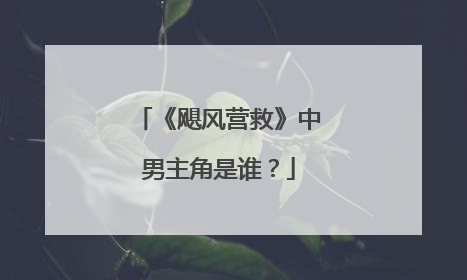 《飓风营救》中男主角是谁?