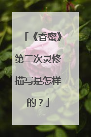 《香蜜》第二次灵修描写是怎样的？