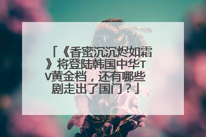 《香蜜沉沉烬如霜》将登陆韩国中华TV黄金档，还有哪些剧走出了国门？