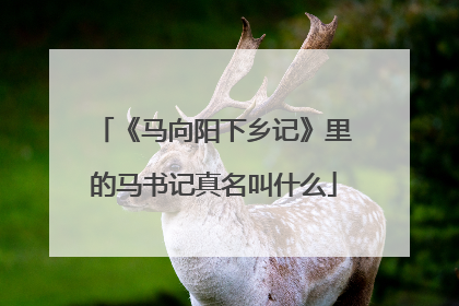 《马向阳下乡记》里的马书记真名叫什么