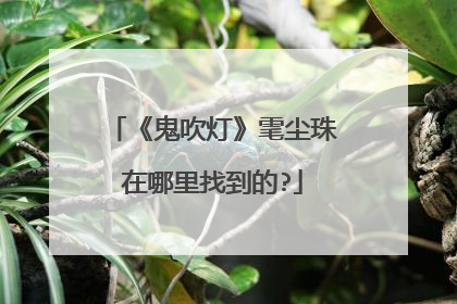 《鬼吹灯》雮尘珠在哪里找到的?
