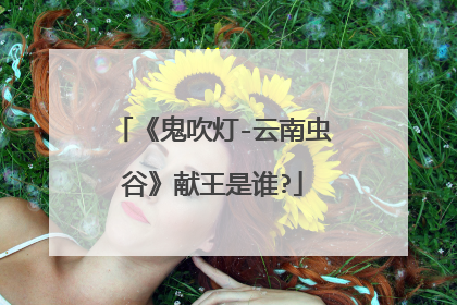 《鬼吹灯-云南虫谷》献王是谁?