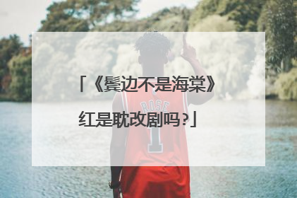 《鬓边不是海棠》红是耽改剧吗?