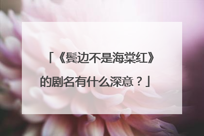 《鬓边不是海棠红》的剧名有什么深意？