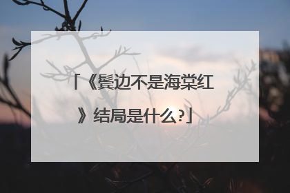《鬓边不是海棠红》结局是什么?